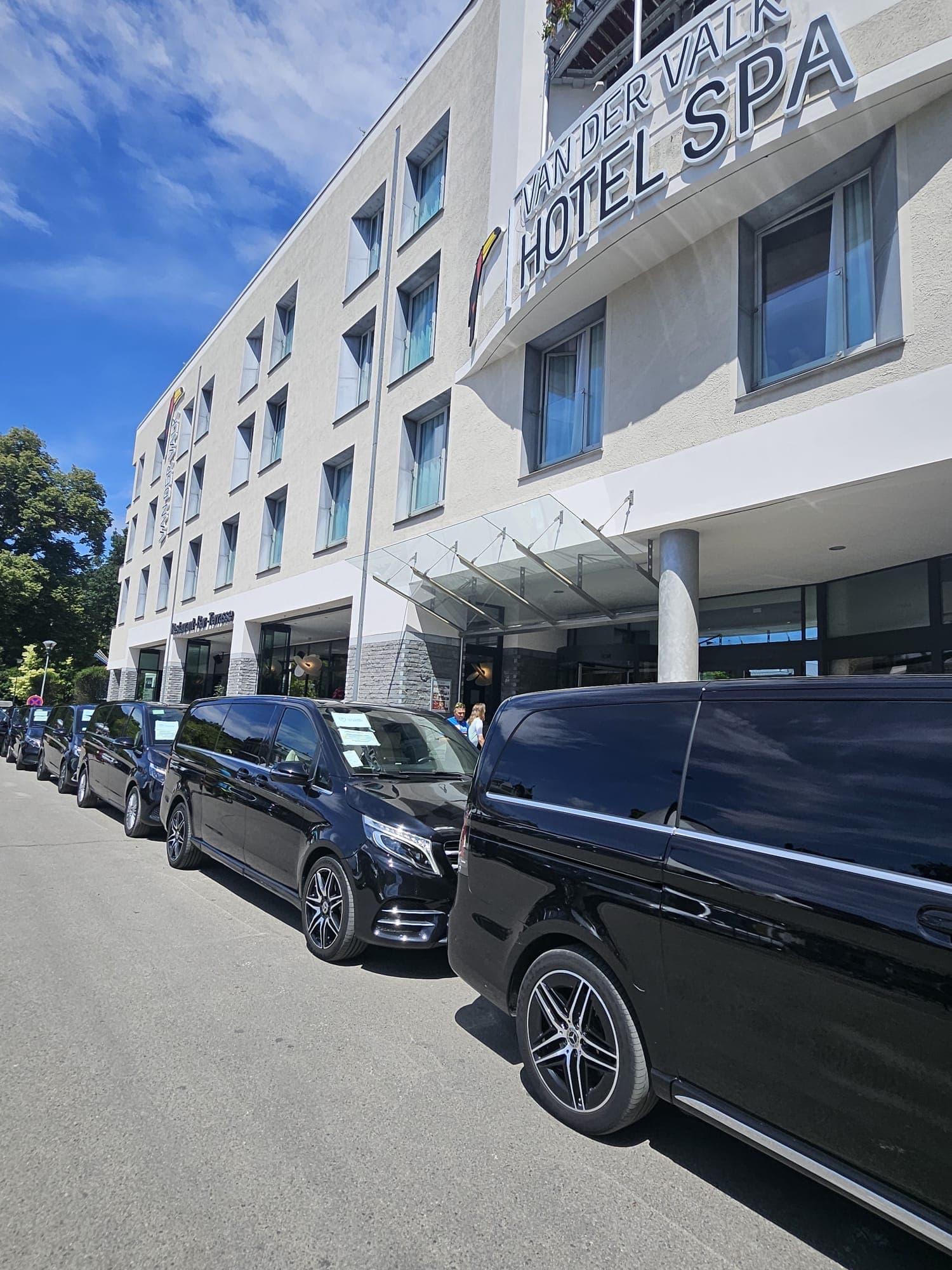 Chauffeur professionnel